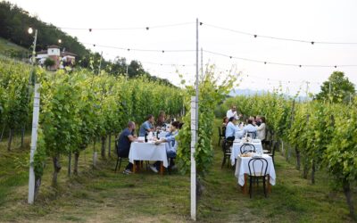 Vendemmia in Piemonte: Un percorso turistico tra Langhe, Roero e Monferrato